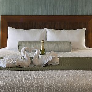 Kamer met een King Size Bed